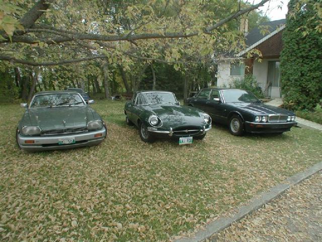 MY JAGUAR COLLECTION